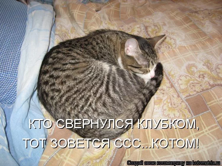 6ccabj.webp