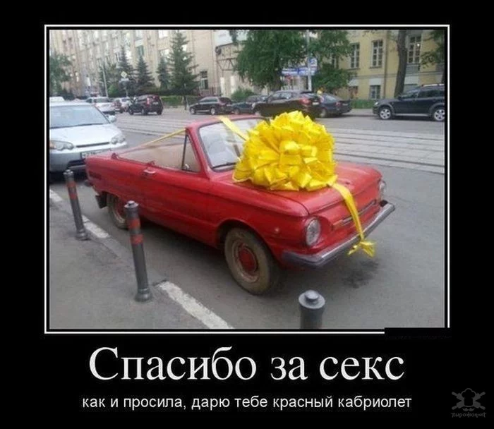 6ccdhe.webp