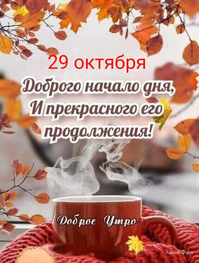 6cd3e2032eb8704f0.jpg