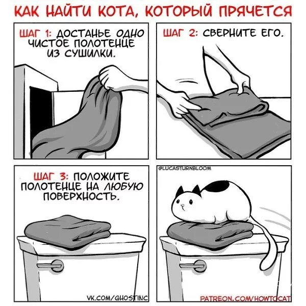 6cd57e218c7b8427.webp