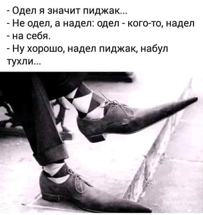 6cdf74d52ed3eb59272e7f.webp