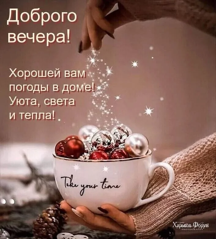 6ce0287059cf9815f8965b.webp