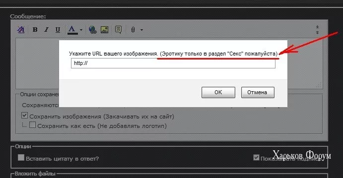 6cea8138e96ea105e1.webp