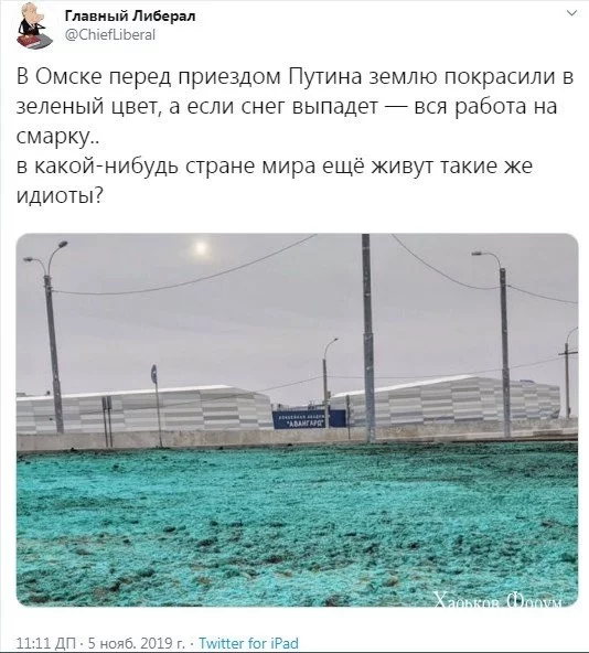 6cf803e242aea5af6fe.webp