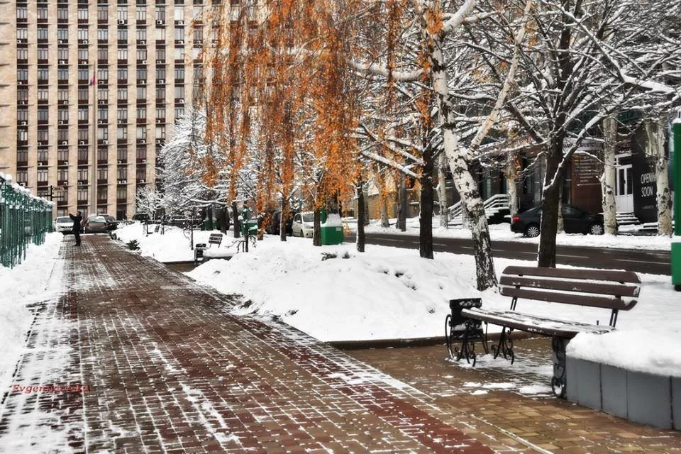 6cgagh.webp