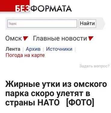 6chchf.webp