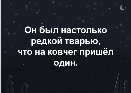 6cjbdh.webp