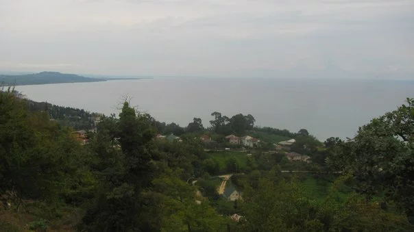 6Ct7gwCSUPU.webp