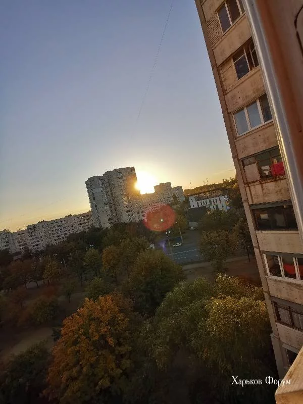 6d01237b94f5c7f50.webp