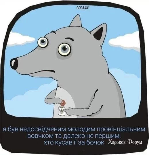 6d044ab215f8969a9b.webp