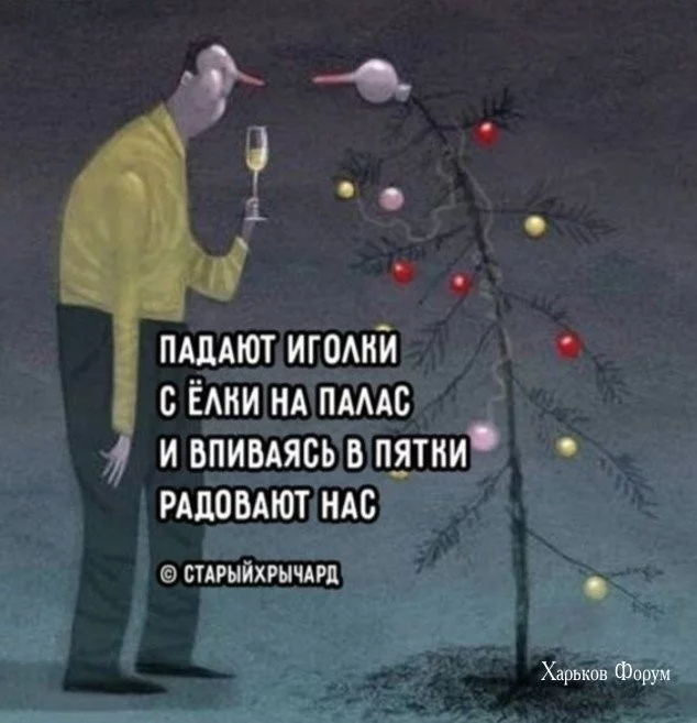 6d18217769d4c2e0ab3.webp
