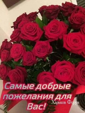 6d30734cecd8455d8039.webp