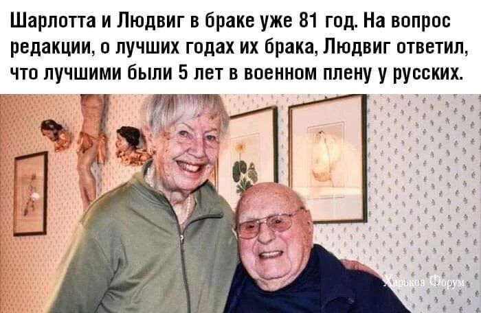 6d3f3b4b4b07ef8d47e.webp