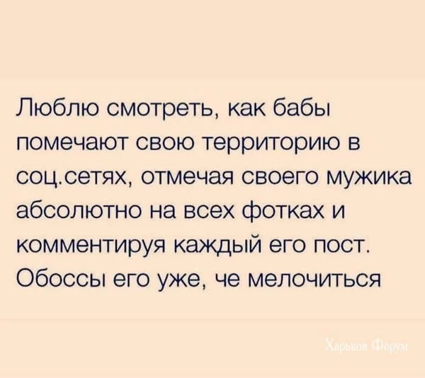 6d4a7a786999ea2ad6e.webp