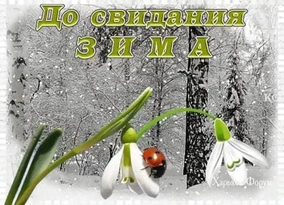 6d5fd6586f88f2653.webp