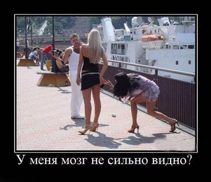 6d692b9cd0ca87efb00d70fb8f759c1f.webp