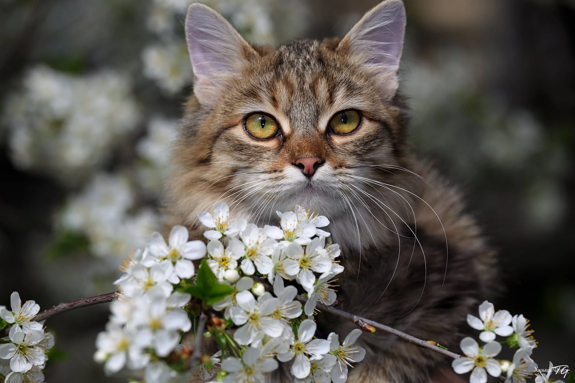 6d7a45f3d2ce16cdc1987.webp
