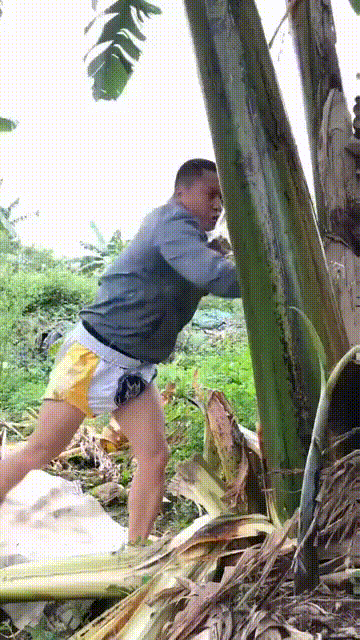 6d86206e8795ba3ff087f.gif