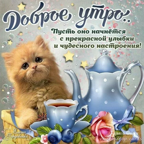 6d91f623242399bd73fca1.webp