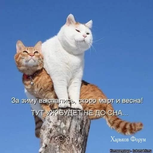 6da25732d47dfe8ffc75dbe.webp