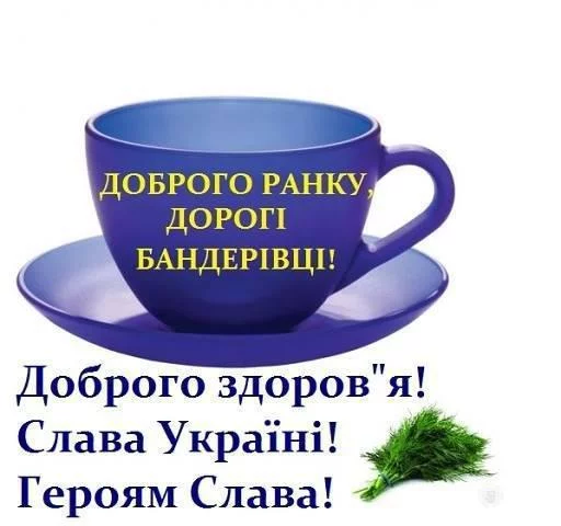 6dacfd.webp