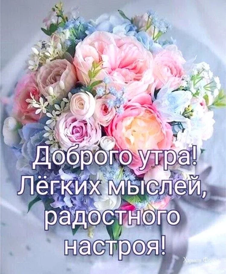 6dafaac32487808721a8082.webp