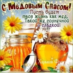 6dbb790cee140f0e55a5.webp