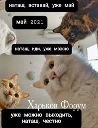 6dbe88e4dfb1efe7ff0d3.webp