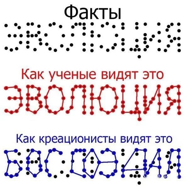 6dc54c439e9916d27c9fa.webp