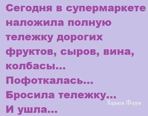 6dcb6efb4d06e049.webp