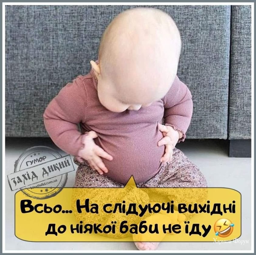 6dce75e1580daca3583fd.jpg