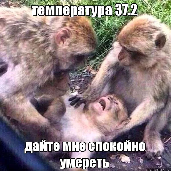 6dcedg.webp