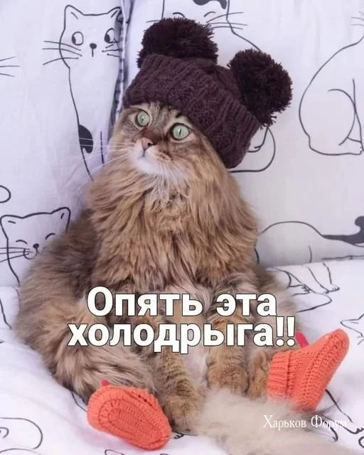6dda5ed8d4111df95d0339.webp