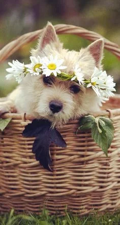 6ddf9e22be68f7e3db5959690e934478.webp