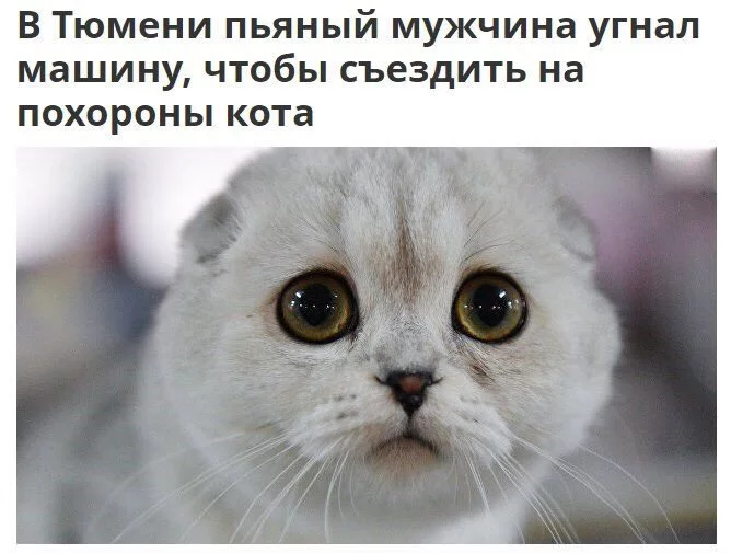 6ddjcg.webp