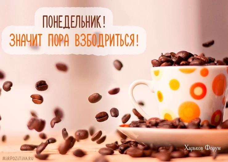 6dedfd875e2c71912.webp