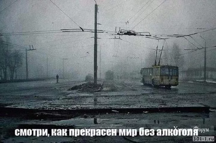 6df4c7c390f049f78e5c2ee.webp