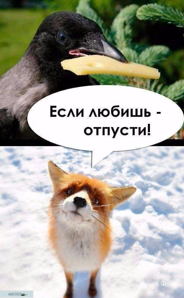 6df9def3dcc598bec758.webp