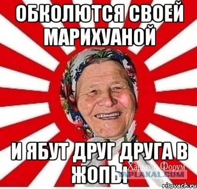 6df9f453a242a215a585935a.webp
