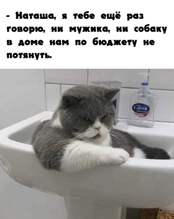 6dfbe2514abc581e44c373c4068137e6.jpg
