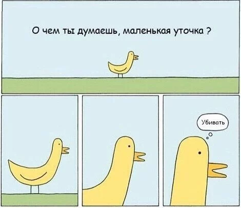 6dfgje.webp