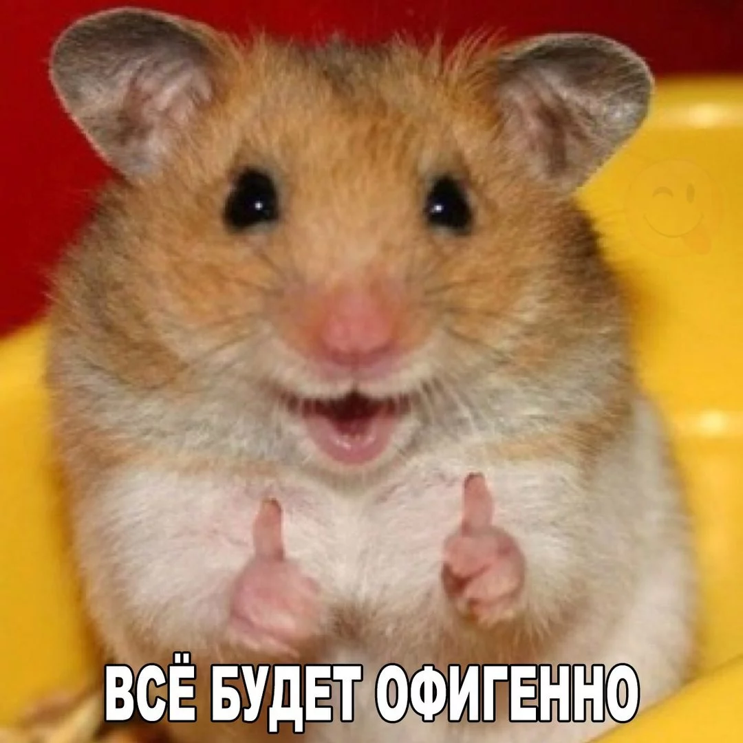 6di0Cn_laQ4.webp