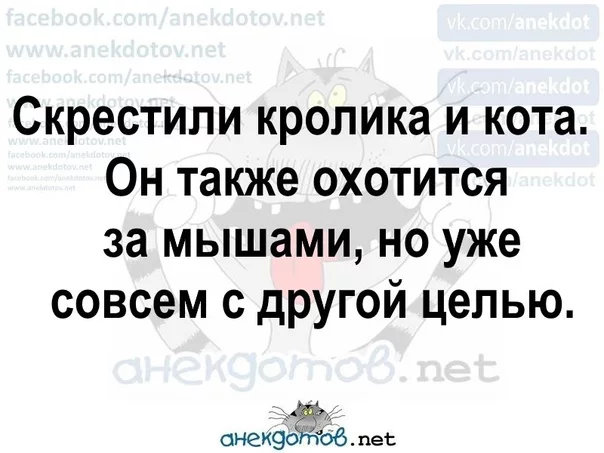 6djghd.webp
