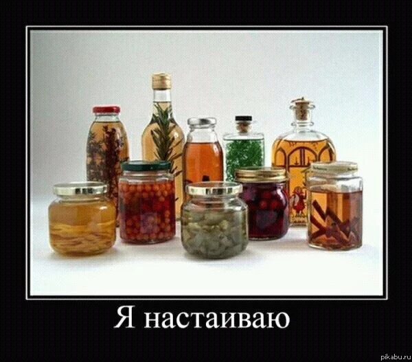6dy.webp