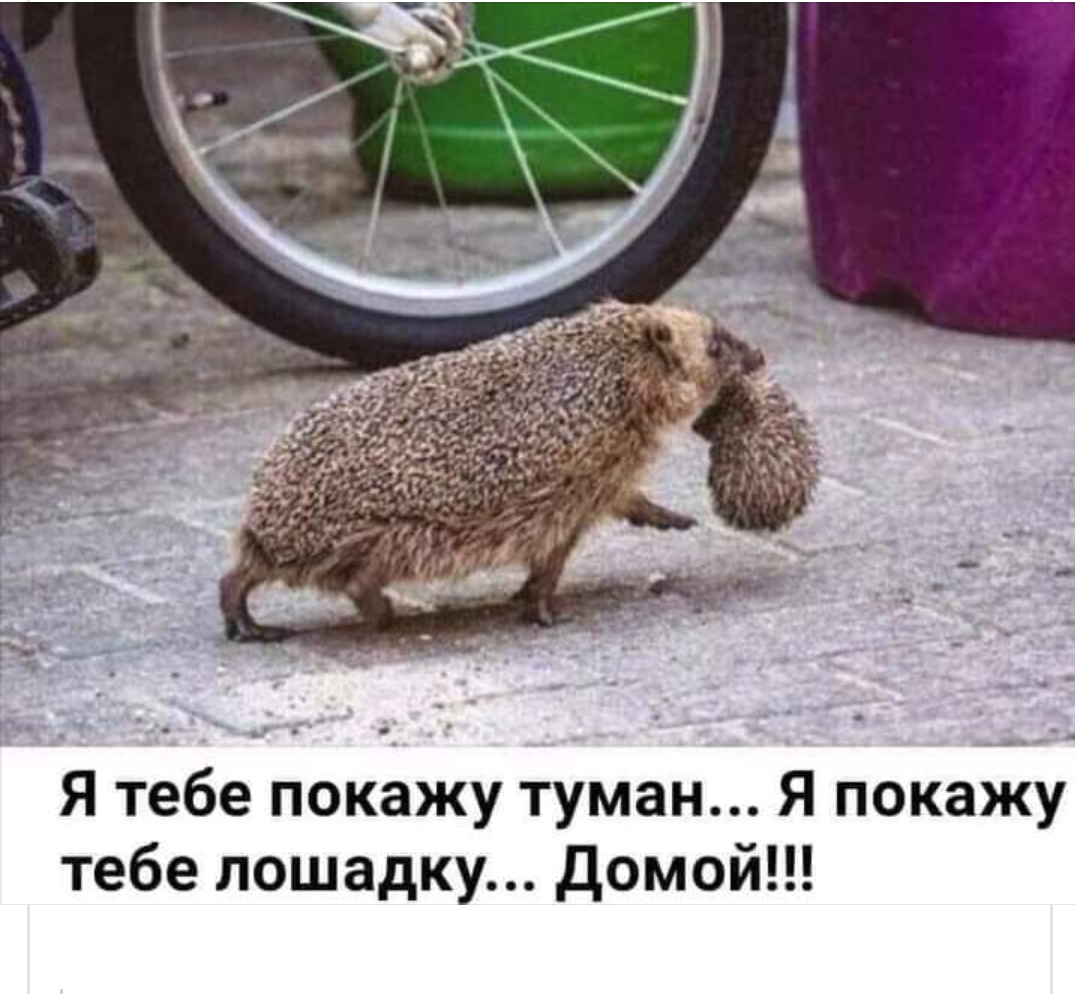 6e1cdfbd247af291f069539b.png