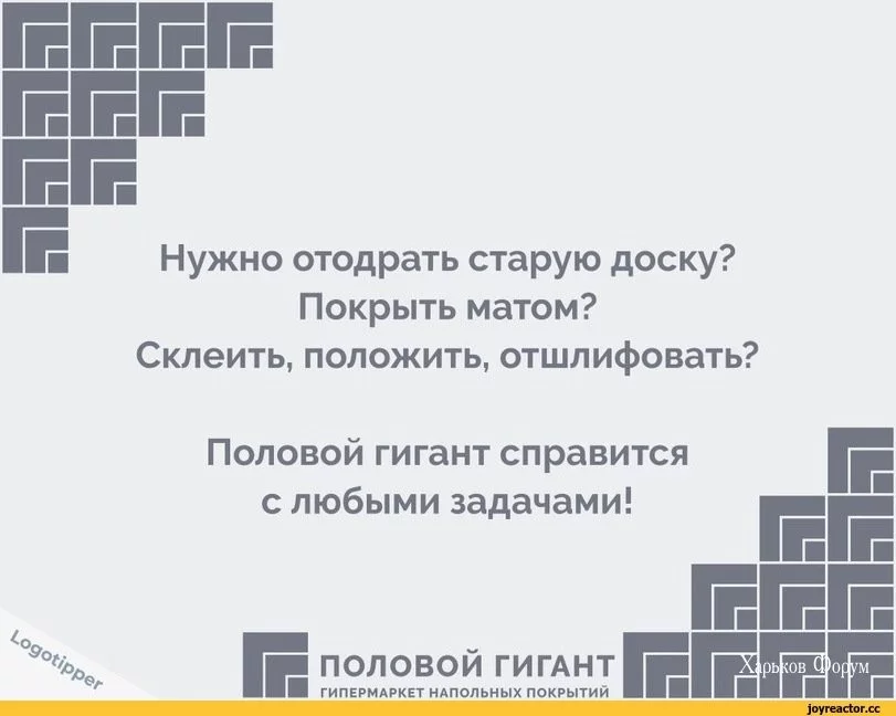 6e329daab90c036717ff74d.webp