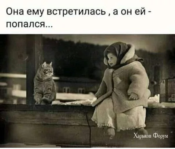 6e33b81b49ead4837b5edf.webp