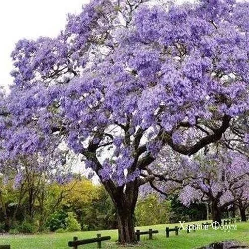 6e38ce44e877b332bc.webp
