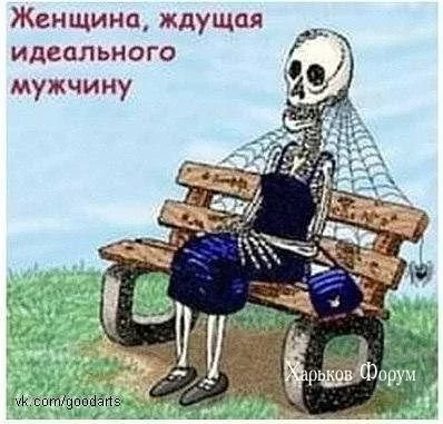 6e45aa3fae7c00a462.webp