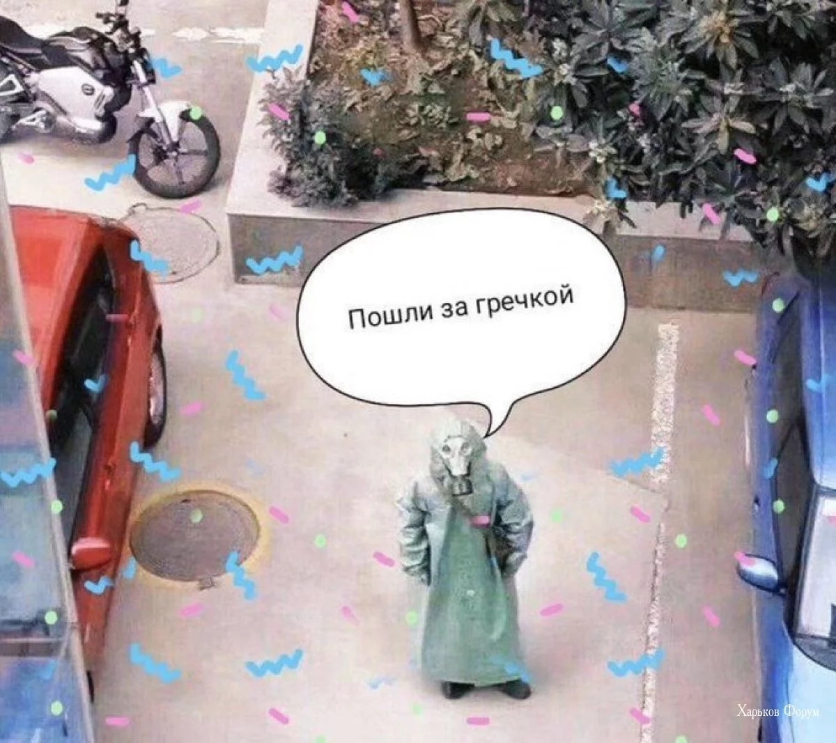 6e6ae03097ece394cf7b0e12.webp